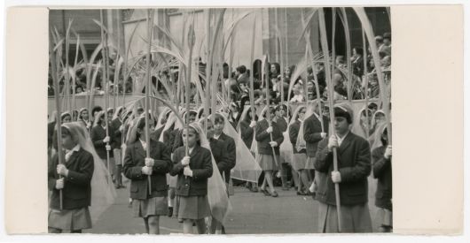 Fotografía. 1966. Niñas en la Procesión de las Palmas del Domingo de Ramos a su paso por la Plaza Mayor